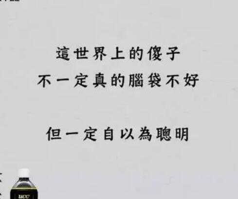 脑子不好使的文案