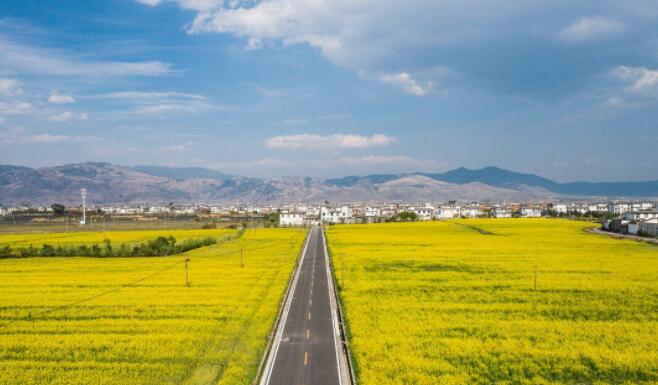 朋友圈花海文案