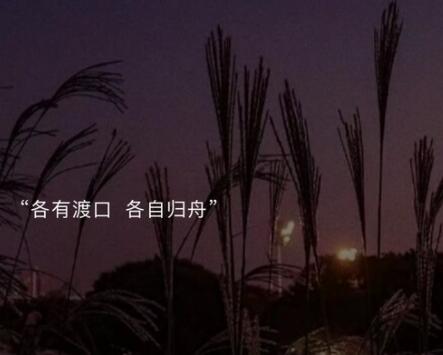 文案短句干净治愈相机