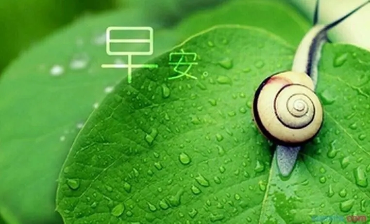 早上开心的文案