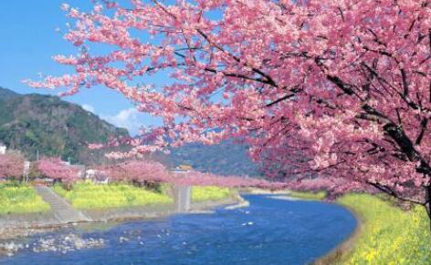 呼吁保护环境文案