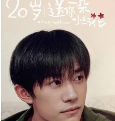 喜欢易烊千玺的文案