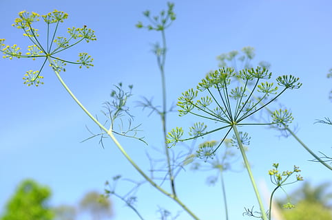 带有数字的文案