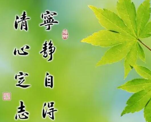 关于个人修养的文案