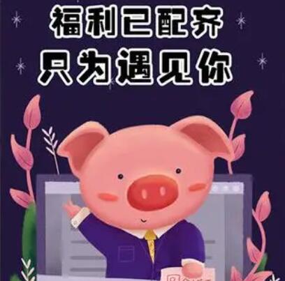 公司福利宣传文案