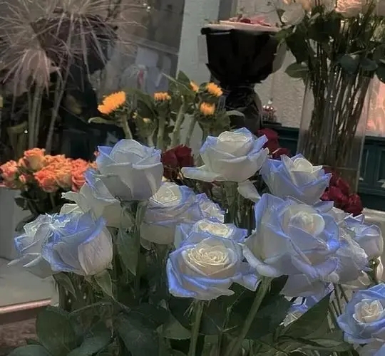 开心与花的文案