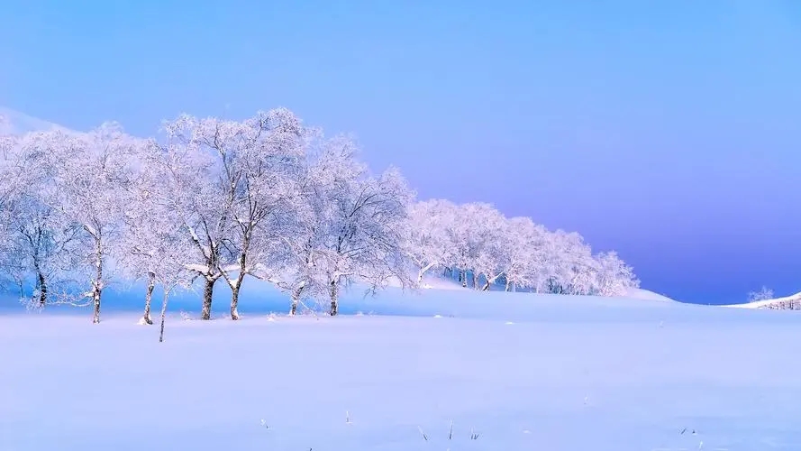 有关于雪的文案