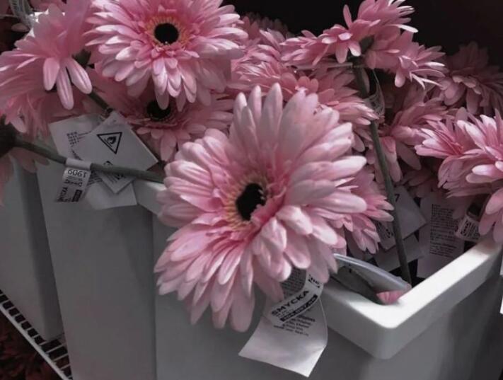 发高糊自拍的文案