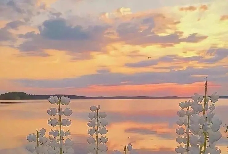 适合风景视频的文案