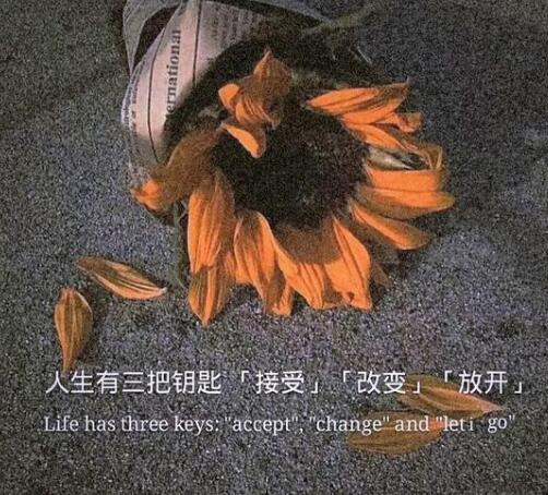 关于成熟的文案