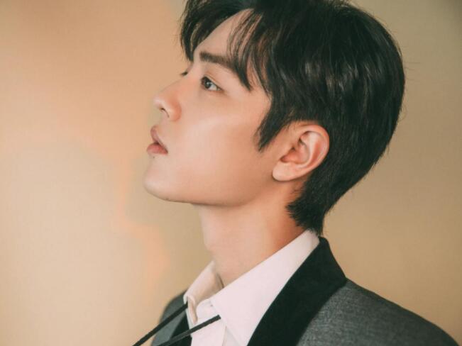 肖战文案短句干净治愈