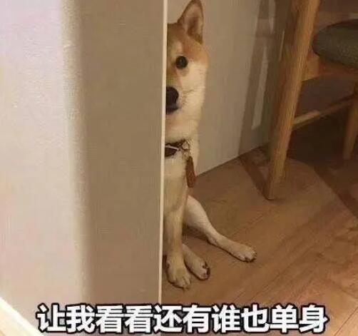 朋友圈文案暗示自己单身