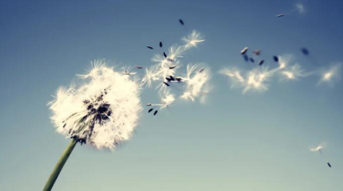 情感语录文案短文