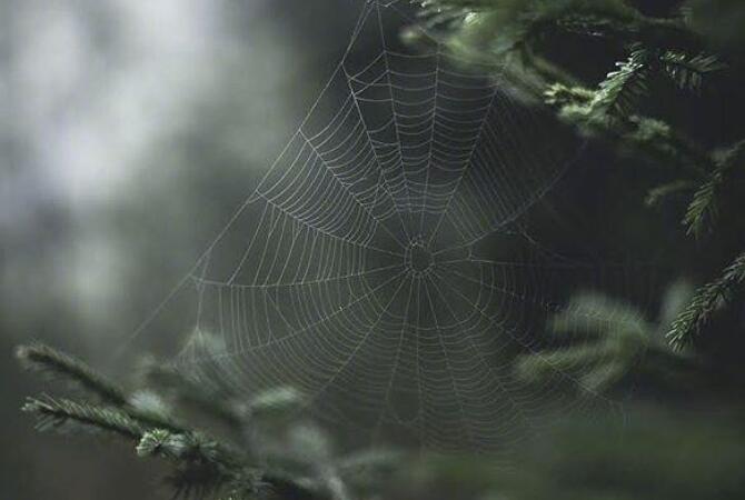 抖音引人互动的文案