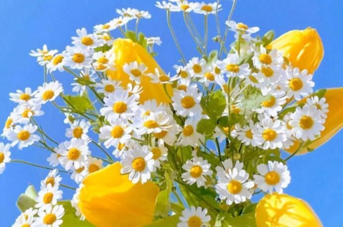 我很快乐的文案