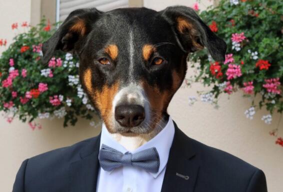 沙雕有趣的朋友圈文案