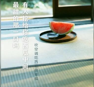 这个夏天的文案