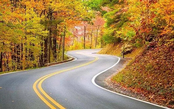 关于路的励志文案