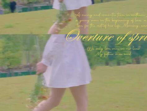 喜欢小裙子文案