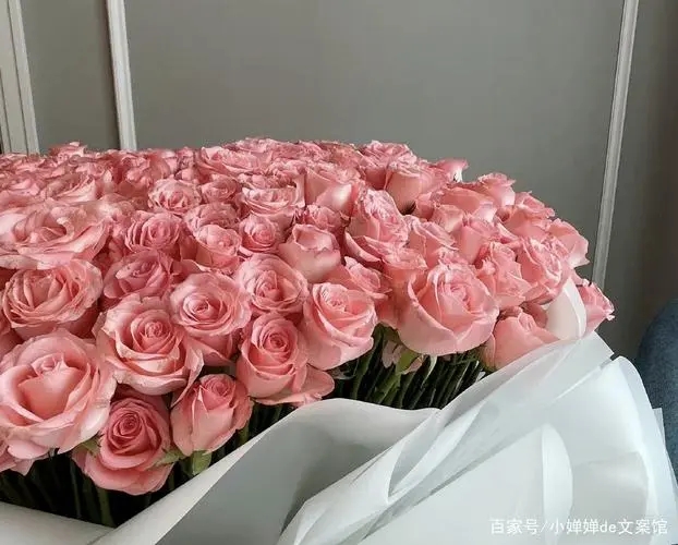 励志文案正能量治愈干净30字