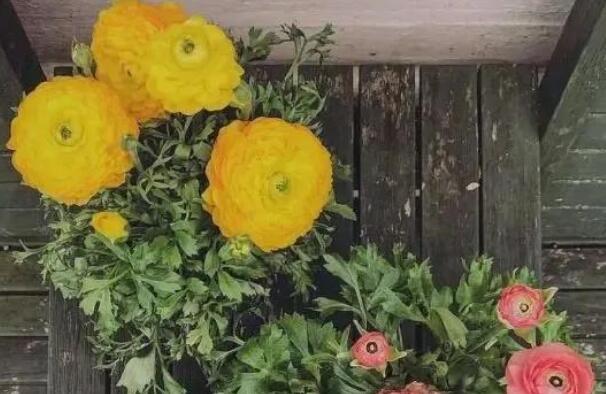 证明自己强大的文案