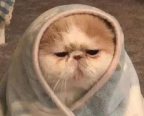 胆小害怕的文案