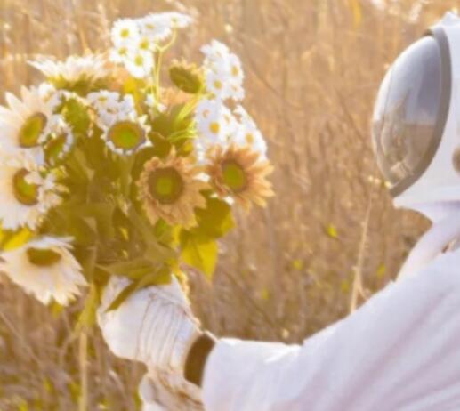 日常浪漫的文案