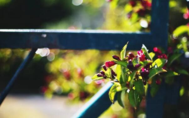 与有趣的东西有关的文案