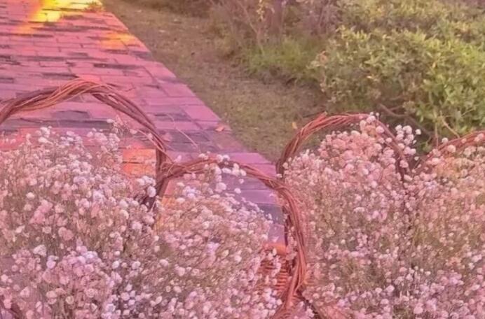 高中生表白文案