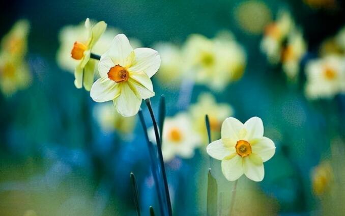 古风古韵的文案