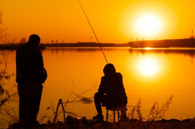 幼儿园感谢爸爸妈妈的文案