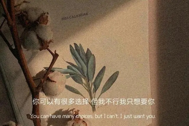 文案短句找女朋友