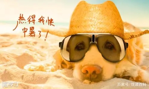 天闷热的厉害文案