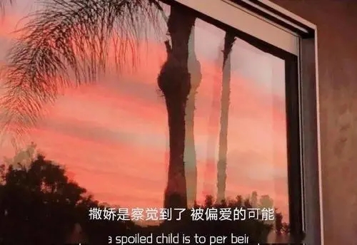 抖音走心文案短句女人