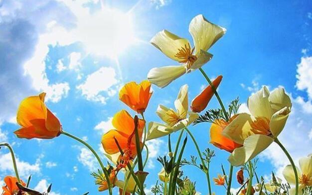 超级温柔的早安文案