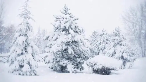冬天下雪的可爱朋友圈文案