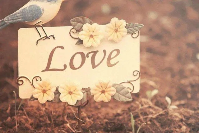 喜欢一件物品的文案