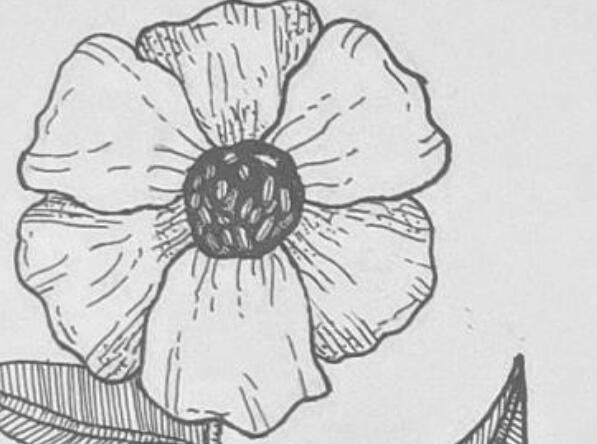 线描朋友圈文案