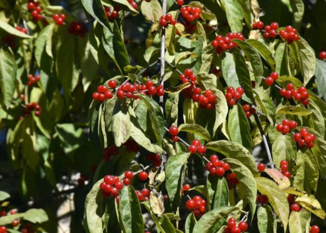 好看的朋友圈文案