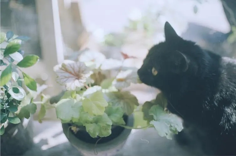 小城故事文案馆