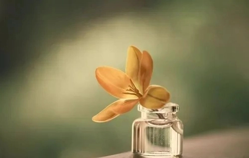 2024年朋友圈招聘文案