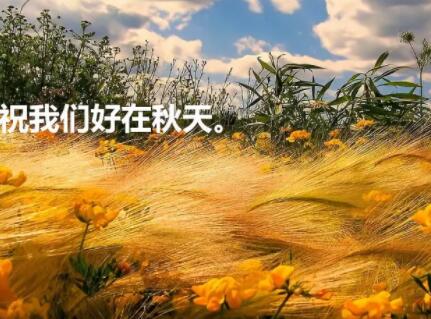 秋天的文案