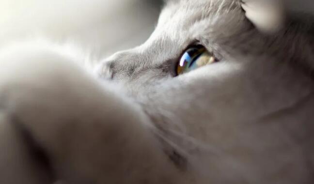 朋友圈好看的文案图片