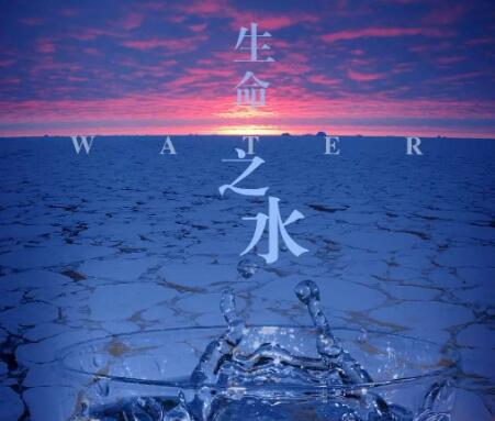 节约资源的文案