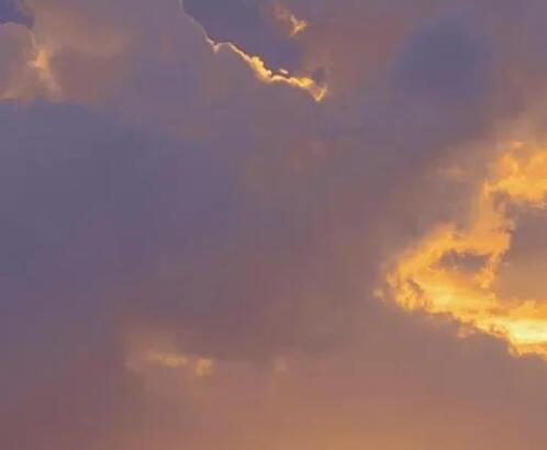 关于紫色系的温柔文案