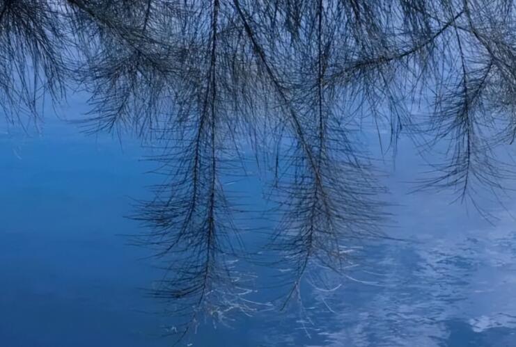 甜甜引起共鸣的文案