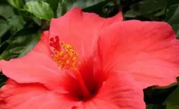 抖音短视频推广文案