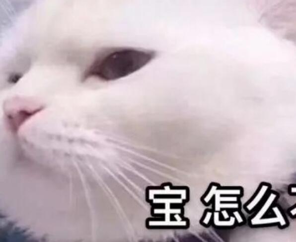 表示某人消息不回的文案