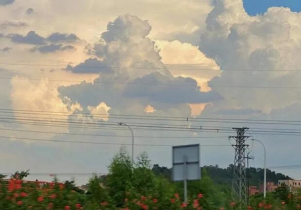 分享今日快乐的文案