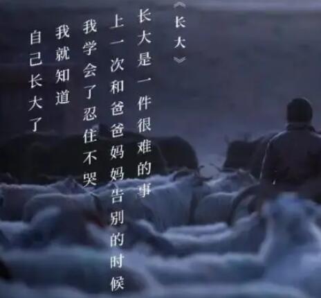 一下子长大文案